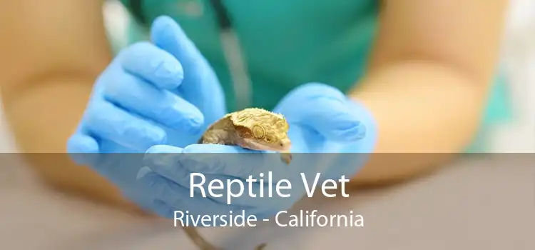 Reptile Vet Riverside - California