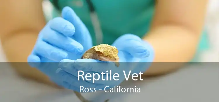 Reptile Vet Ross - California