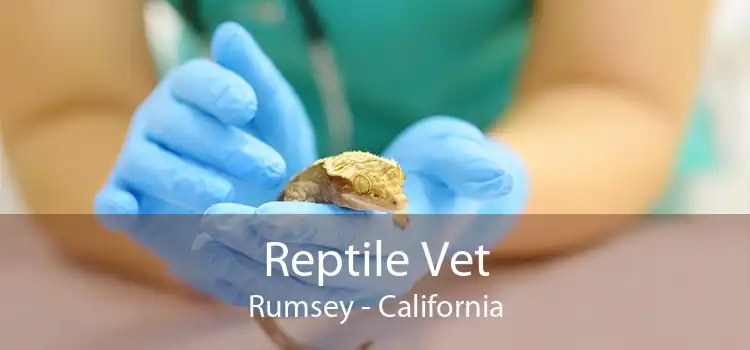 Reptile Vet Rumsey - California