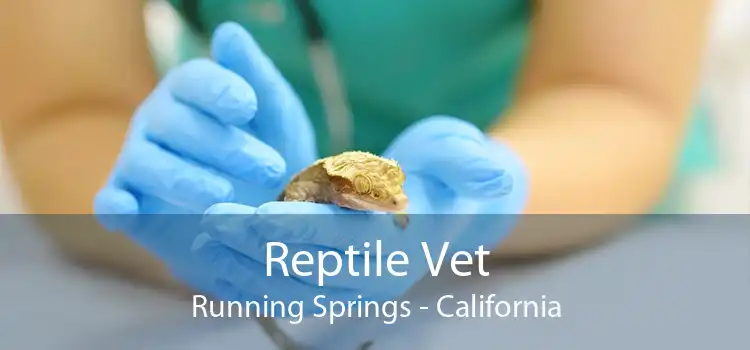 Reptile Vet Running Springs - California