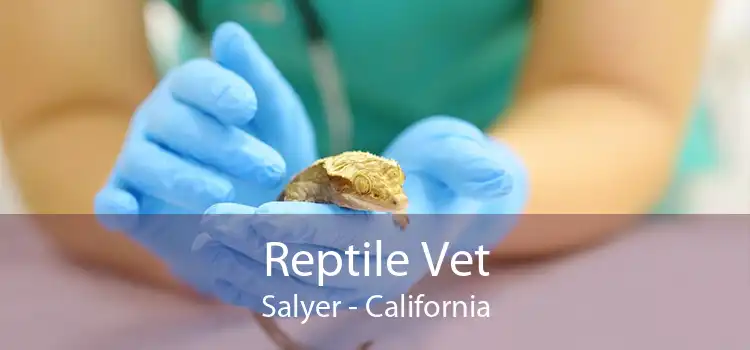 Reptile Vet Salyer - California