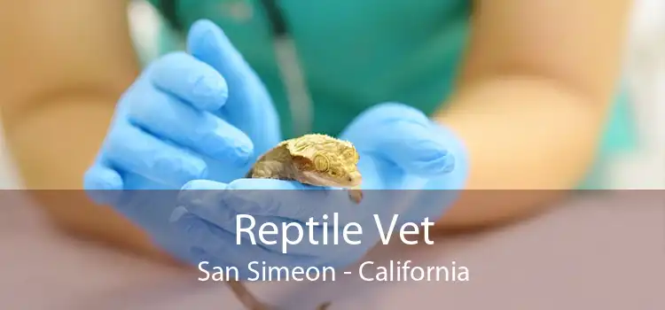 Reptile Vet San Simeon - California