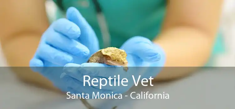 Reptile Vet Santa Monica - California