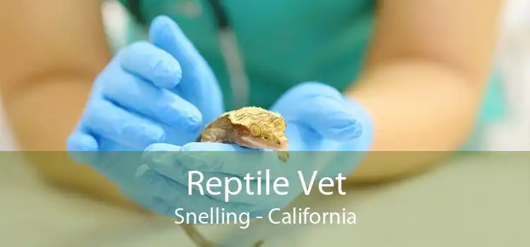 Reptile Vet Snelling - California