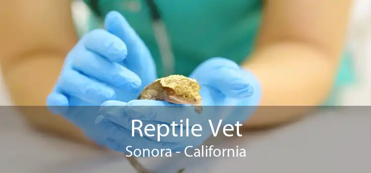 Reptile Vet Sonora - California