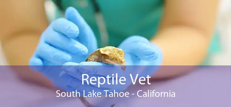 Reptile Vet South Lake Tahoe - California