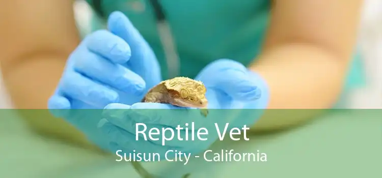 Reptile Vet Suisun City - California