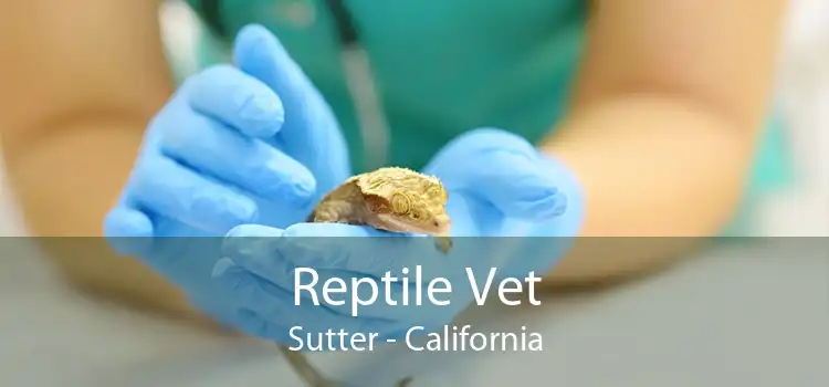 Reptile Vet Sutter - California