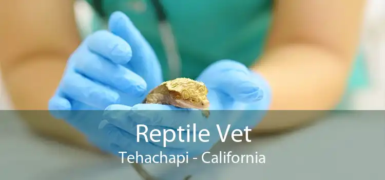 Reptile Vet Tehachapi - California