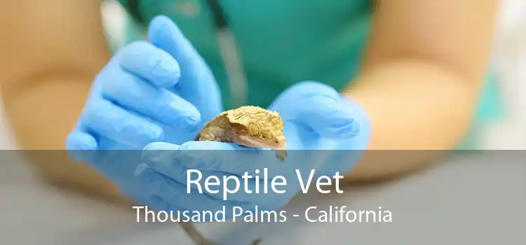 Reptile Vet Thousand Palms - California