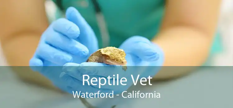 Reptile Vet Waterford - California