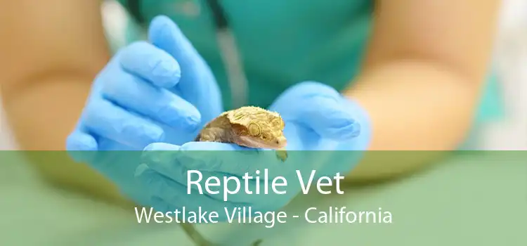 Reptile Vet Westlake Village - California