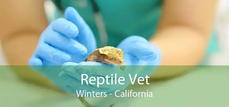 Reptile Vet Winters - California