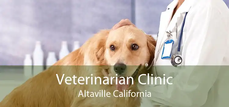Veterinarian Clinic Altaville California