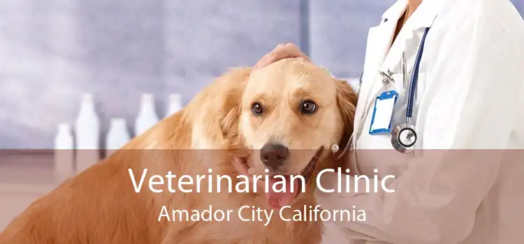 Veterinarian Clinic Amador City California