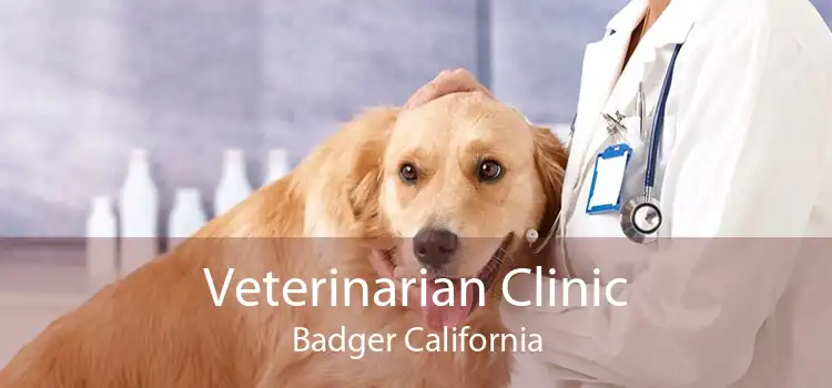 Veterinarian Clinic Badger California