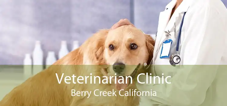 Veterinarian Clinic Berry Creek California