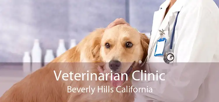 Veterinarian Clinic Beverly Hills California
