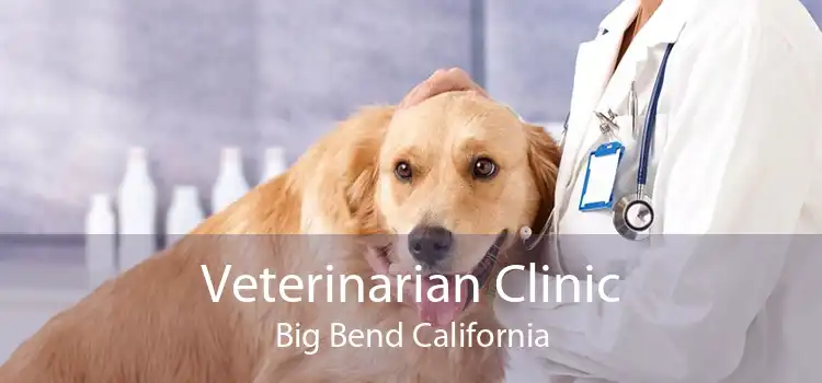 Veterinarian Clinic Big Bend California