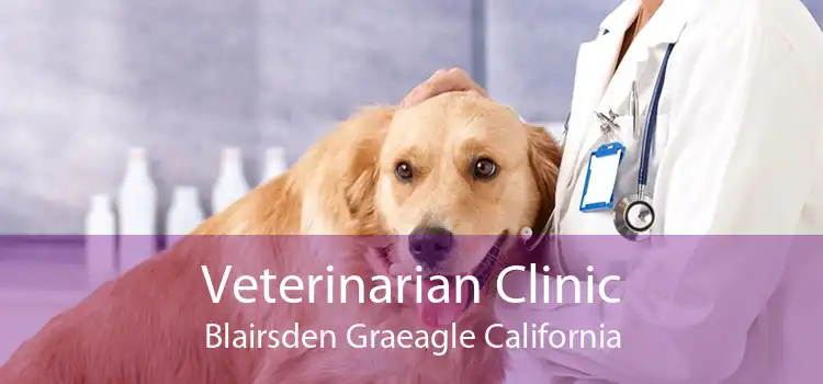 Veterinarian Clinic Blairsden Graeagle California