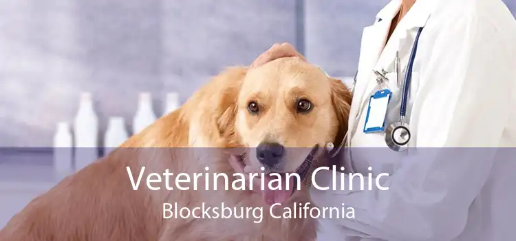 Veterinarian Clinic Blocksburg California