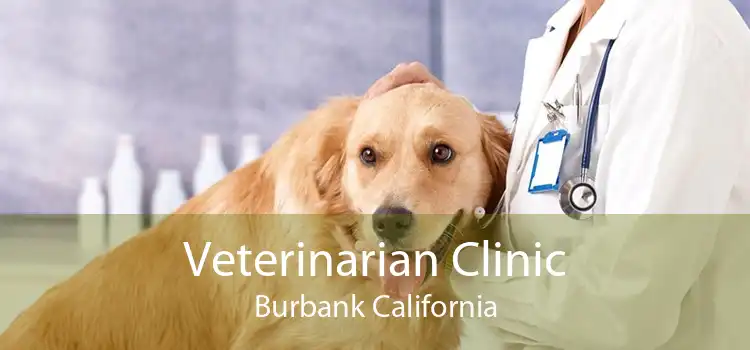 Veterinarian Clinic Burbank California