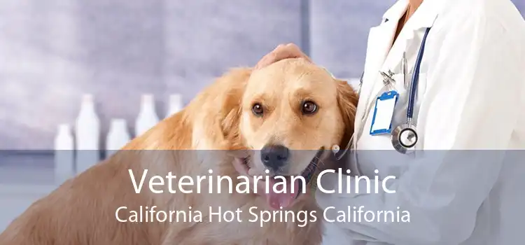 Veterinarian Clinic California Hot Springs California