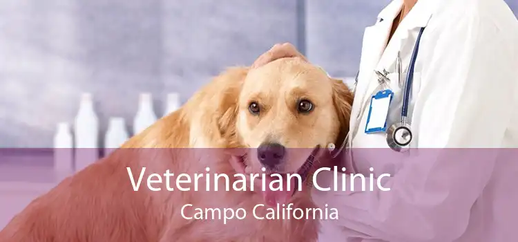 Veterinarian Clinic Campo California