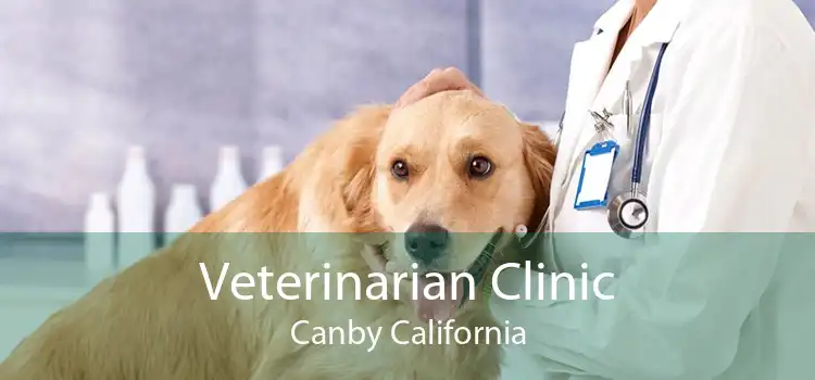 Veterinarian Clinic Canby California