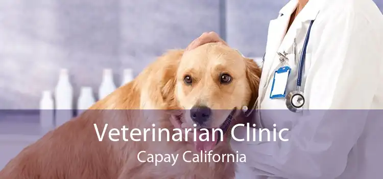 Veterinarian Clinic Capay California