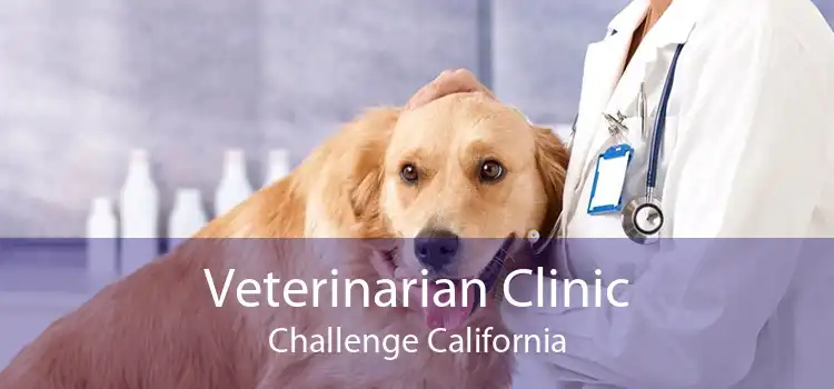 Veterinarian Clinic Challenge California