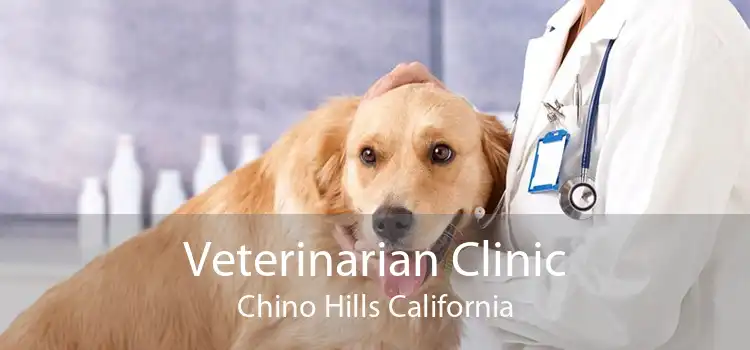 Veterinarian Clinic Chino Hills California