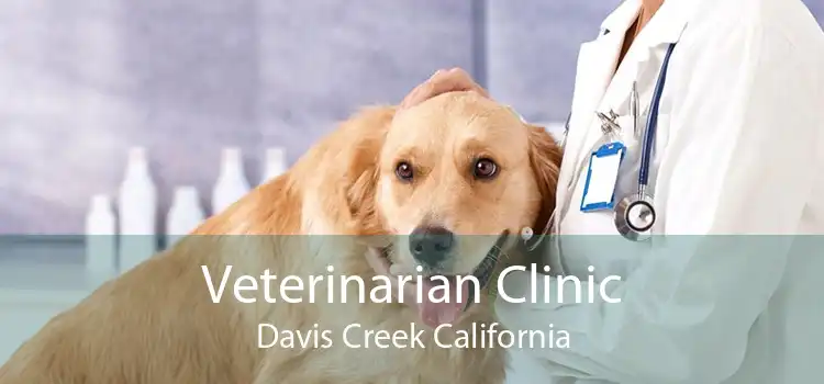 Veterinarian Clinic Davis Creek California