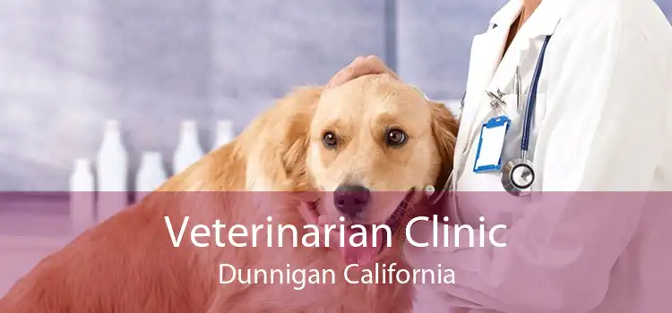 Veterinarian Clinic Dunnigan California