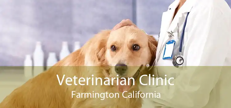 Veterinarian Clinic Farmington California