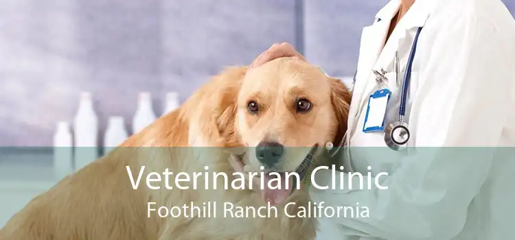 Veterinarian Clinic Foothill Ranch California