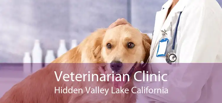 Veterinarian Clinic Hidden Valley Lake California