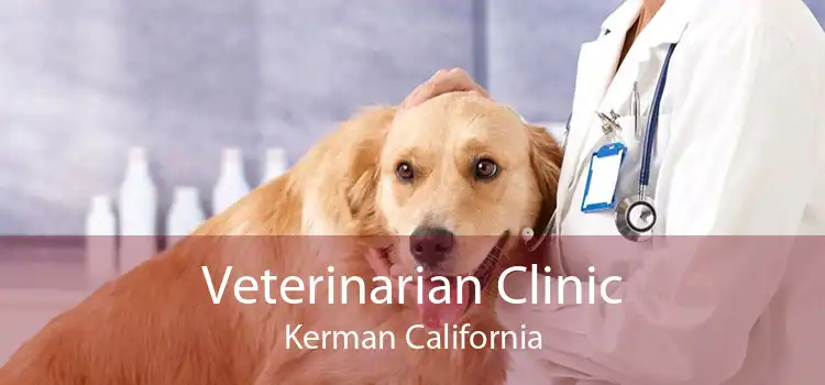 Veterinarian Clinic Kerman California