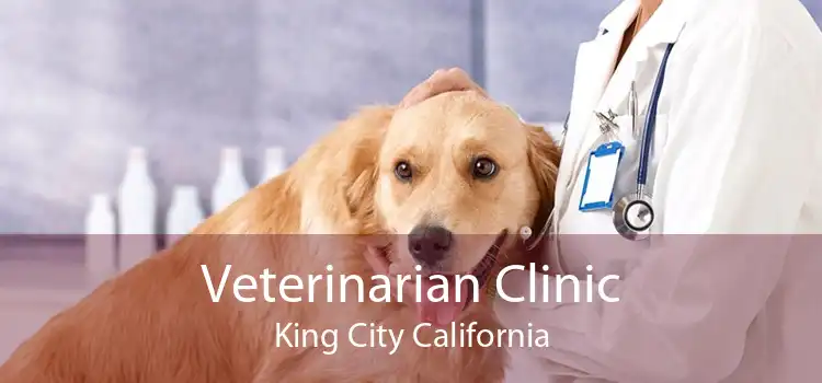 Veterinarian Clinic King City California