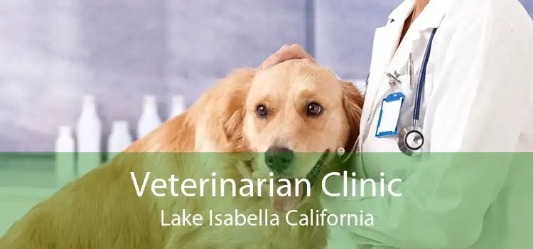 Veterinarian Clinic Lake Isabella California