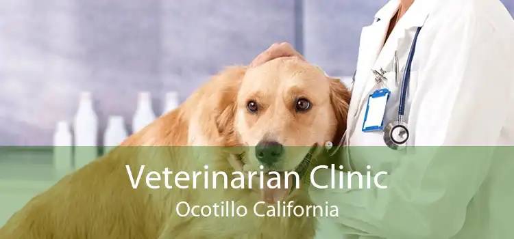 Veterinarian Clinic Ocotillo California