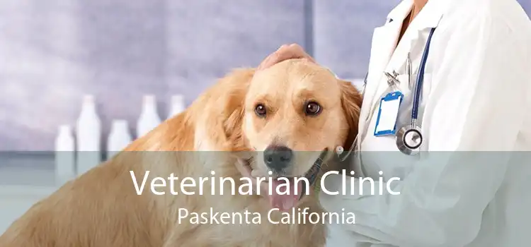 Veterinarian Clinic Paskenta California