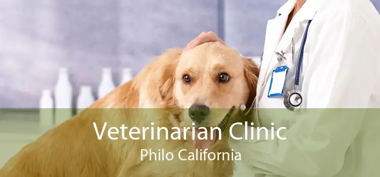 Veterinarian Clinic Philo California