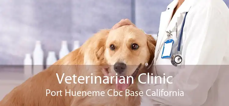 Veterinarian Clinic Port Hueneme Cbc Base California