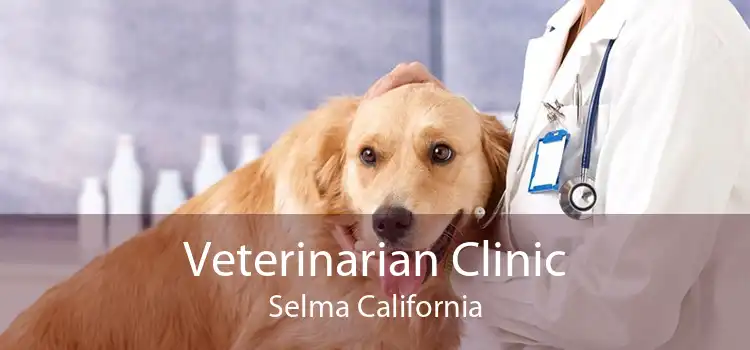 Veterinarian Clinic Selma California