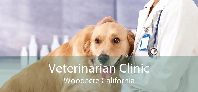 Veterinarian Clinic Woodacre California